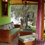 Zina's House