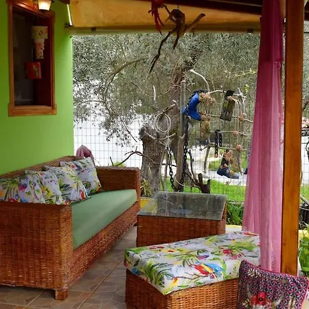 Zina's House