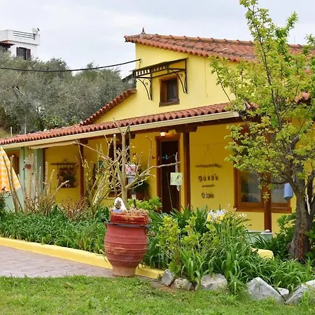 Zina's House Troulos