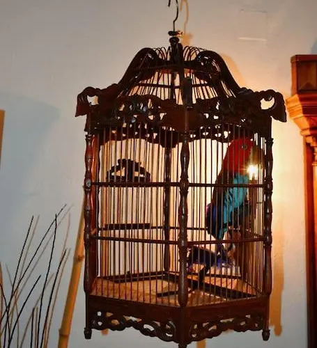 Zina's House Tatil Evi