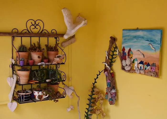 Zina's House * Troulos