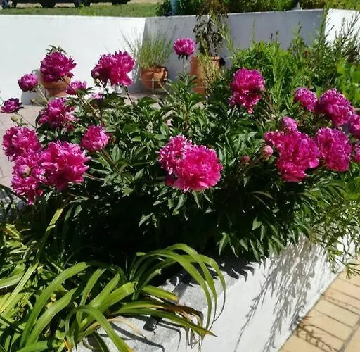 Tatil Evi Zina's House