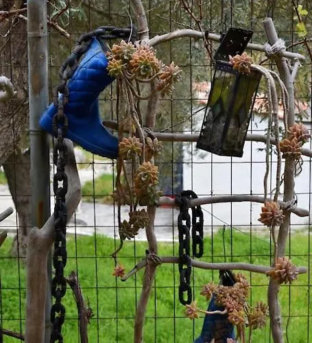 Zina's House * Troulos