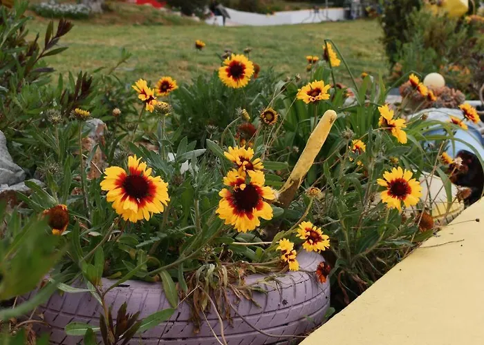 Zina's House Tatil Evi *