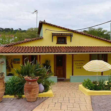 Case de vacanță Zina's House