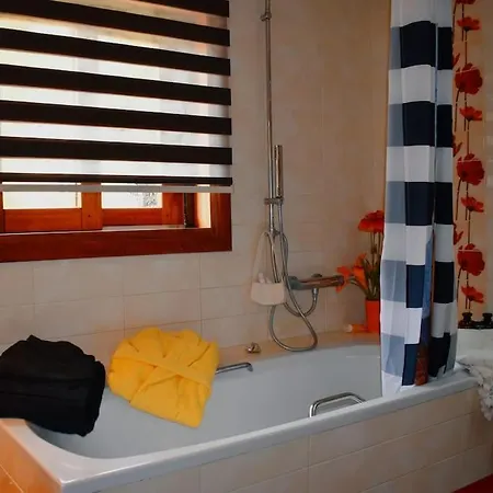 Case de vacanță Zina's House *