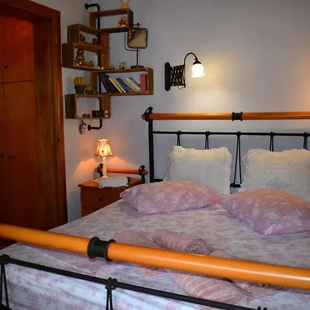 Case de vacanță Zina's House