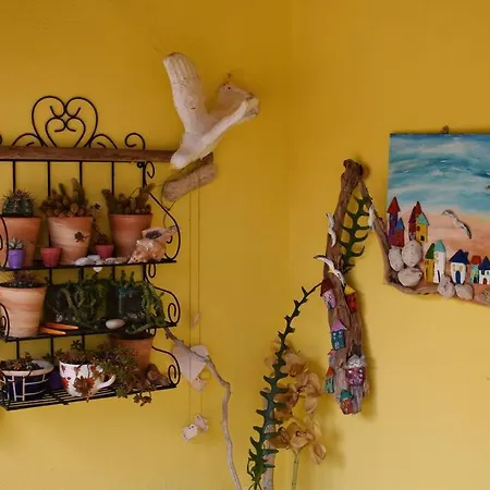 Zina's House * Troulos