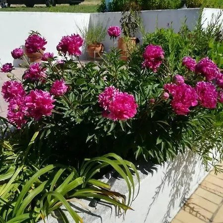 Casa de Férias Zina's House