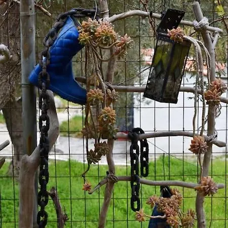 Zina's House * Troulos