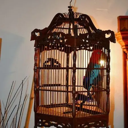 Zina's House בית נופש