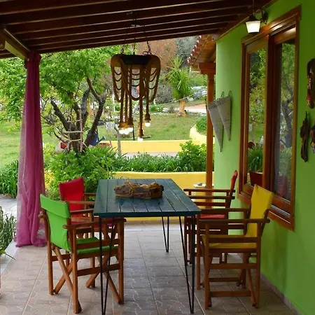 Zina's House Troulos