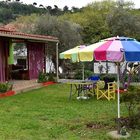 Zina's House Troulos