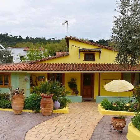 Zina's House